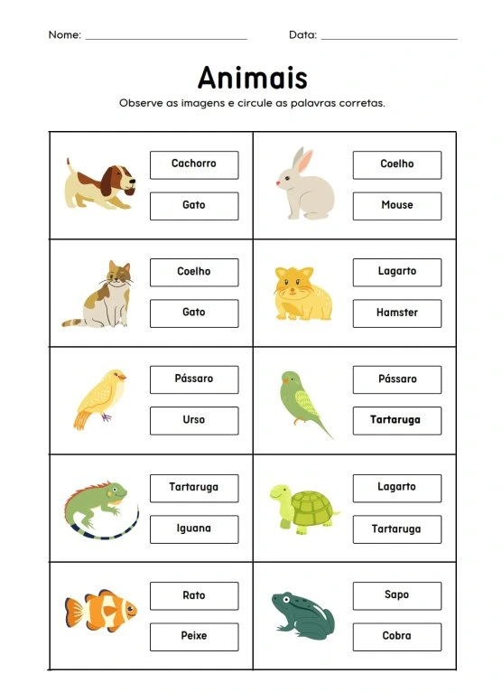 Animais